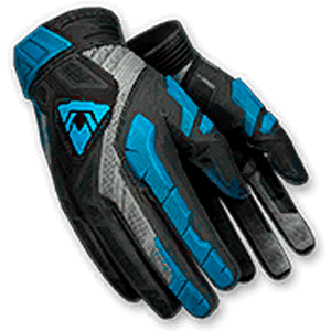 Перчатки снайпера Blackwood